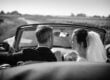 10 Estate Planning Questions Every California Couple Should Answer